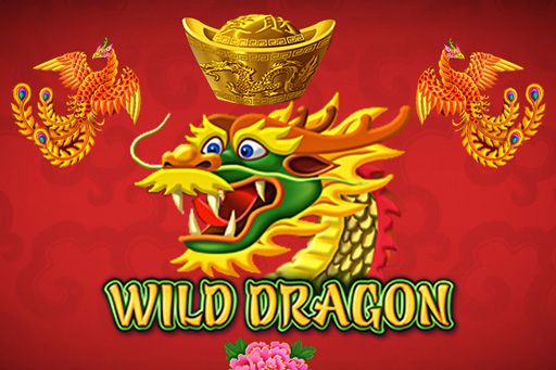 Wild Dragon